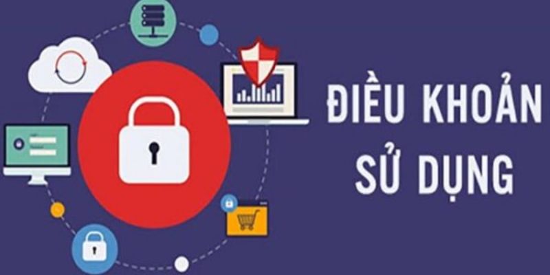 Điều khoản sử dụng quan trọng