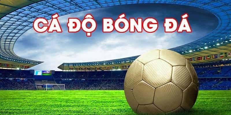 Trang Cá cược bóng đá uy tín